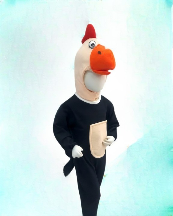 Disfraz de Cóndor